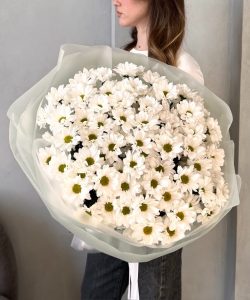 Хризантемы - 15шт  ромашка